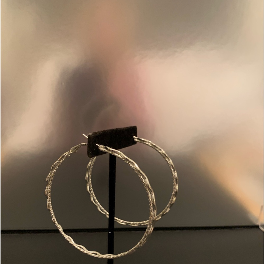 Silver 2 1/2 inch hoops.